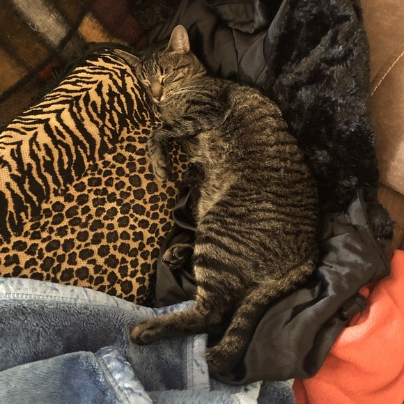 Meet your Posher, Wendie - Picture 7 of 9